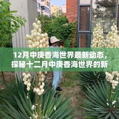 滔滔不绝 第3页