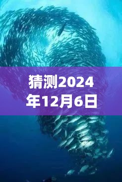 猜测2024年12月6日最新欧美限制电影，探索自然秘境，一场远离尘嚣的电影之旅，寻找内心的平和与喜悦