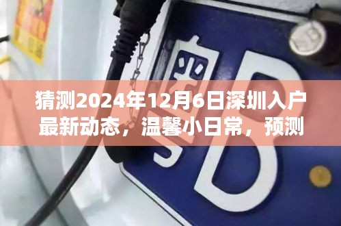 深圳入户最新动态预测，家的温馨与友情的纽带，2024年12月6日最新入户趋势展望