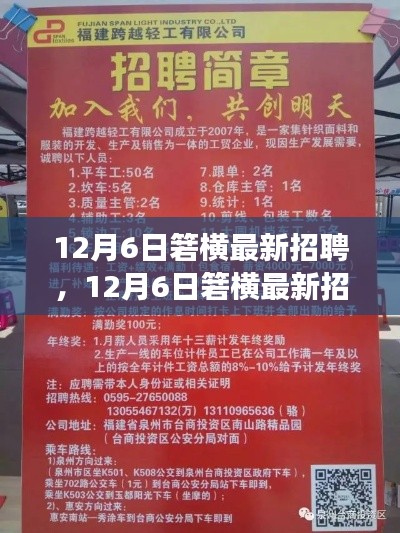 12月6日箬横最新招聘，12月6日箬横最新招聘盛会，职场人的新机遇