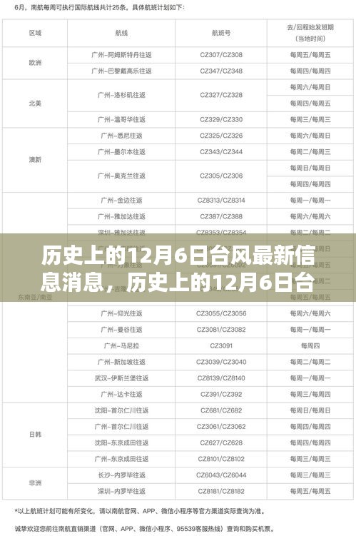 深度解析与案例分析，历史上的12月6日台风最新信息消息回顾与反思