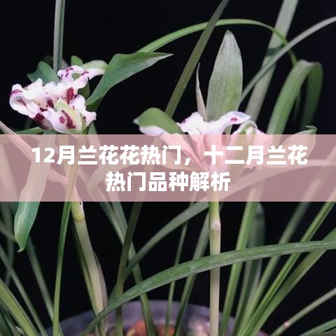 对答如流 第2页