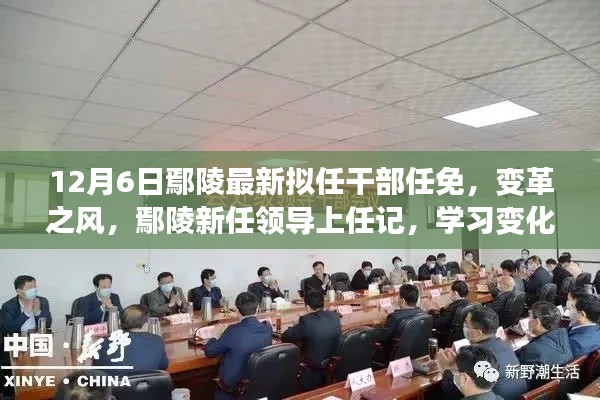 鄢陵新任领导上任记，变革之风中的干部任免与学习变化之路