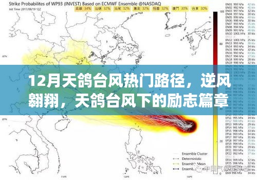 12月天鸽台风热门路径，逆风翱翔，天鸽台风下的励志篇章，变化中的自信与成就之光