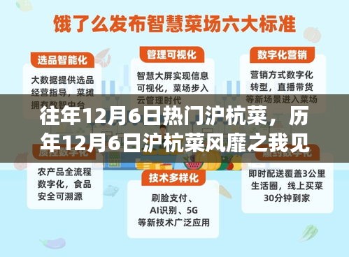 历年12月6日沪杭菜风靡现象解析与回顾