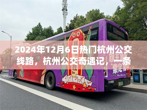 2024年12月6日热门杭州公交线路，杭州公交奇遇记，一条线路，满载友情与温情