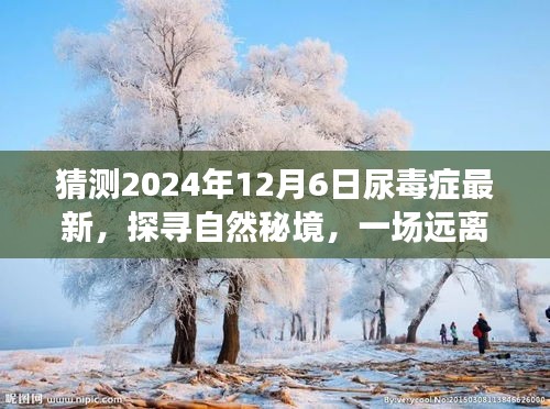 猜测2024年12月6日尿毒症最新，探寻自然秘境，一场远离尘嚣的旅行，预见尿毒症未来的宁静之光