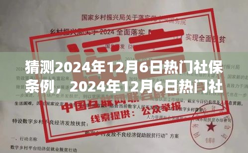 猜测2024年12月6日热门社保条例，2024年12月6日热门社保条例展望，观点解析与个人立场