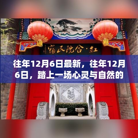 往年12月6日的心灵与自然的美妙邂逅之旅