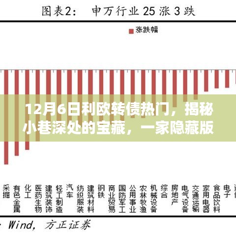 揭秘隐藏版宝藏小店，利欧转债热门特色店探秘（12月6日热门话题）