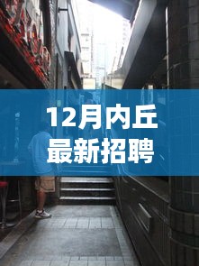 最新丘城招聘攻略，探秘小巷深处的独特小店，12月内丘招聘全解析