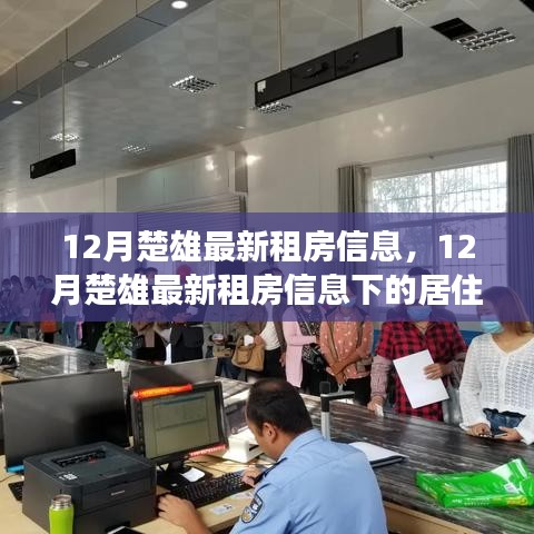 12月楚雄最新租房信息，12月楚雄最新租房信息下的居住选择，深度分析与个人立场