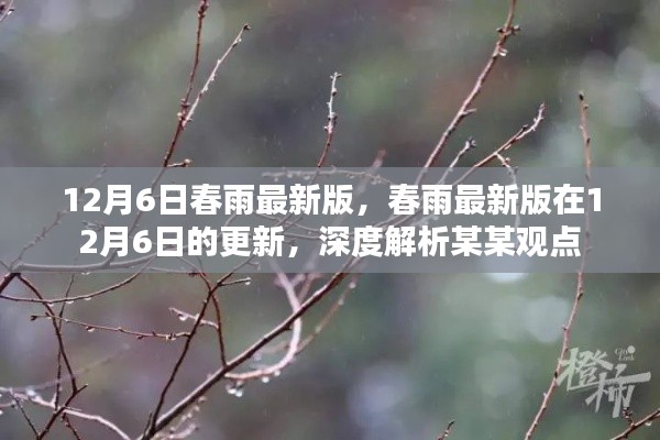 春雨最新版12月6日更新深度解析，聚焦某某观点