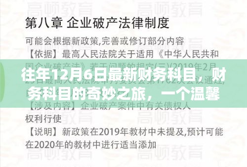 温馨日常故事，财务科目的奇妙之旅，揭秘往年12月6日最新科目