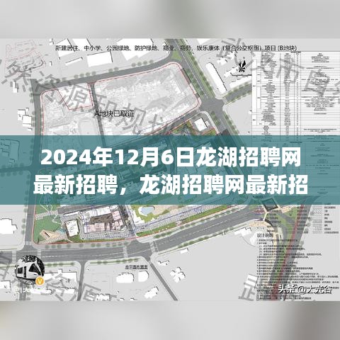 龙湖招聘网最新招聘日，梦想与友情的交汇点