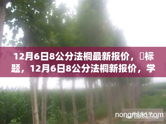 12月6日8公分法桐最新报价，​标题，12月6日8公分法桐新报价，学习变化，播种自信与成就的种子，在成长的路上绽放光彩