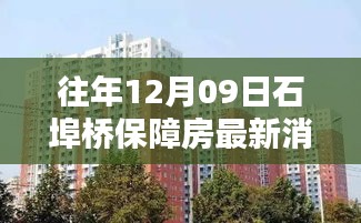 石埠桥保障房最新动态，深度评测、竞品对比与用户群体分析体验报告