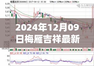 梅雁吉祥科技新品发布，触摸未来，极致生活体验新篇章（2024年12月09日最新价）