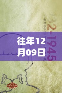 12月09日瘟情更新，与自然共舞的心灵之旅寻找内心平静之旅