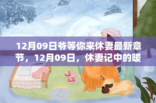 12月09日休妻记，暖阳日常与爱的纽带最新章节已更新