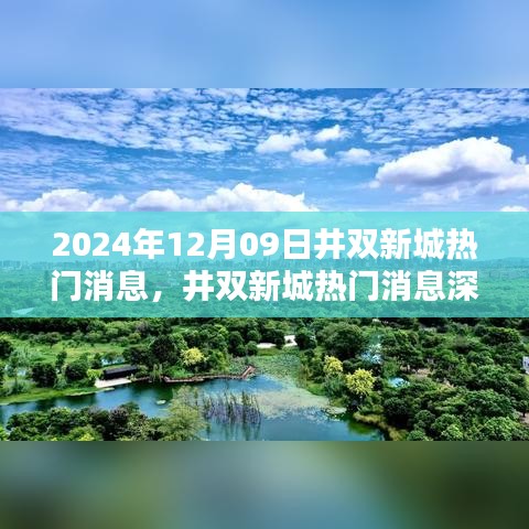 井双新城深度解析，特性、体验、竞品对比与用户群体分析，热门消息一网打尽（2024年12月09日）