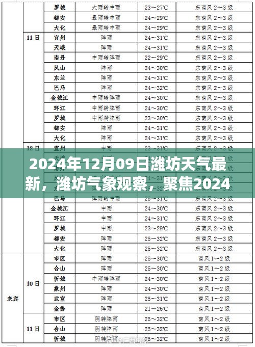 2024年12月09日潍坊天气预报与个人影响深度解析