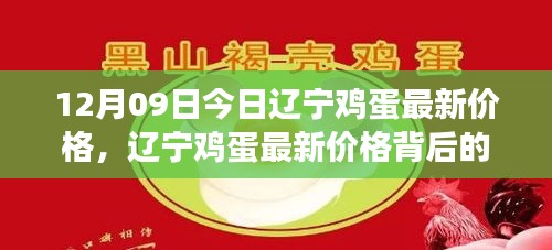 辽宁鸡蛋最新价格背后的励志故事，自信成就梦想之路，学习变化的力量在闪耀！