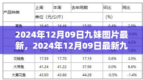 2024年最新九妹图片欣赏，美图尽在手中