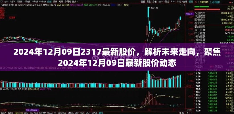 聚焦最新动态，解析未来走向，揭秘2024年12月09日股价动态