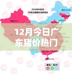 广东猪价走势分析，热门价格及趋势预测在十二月揭晓