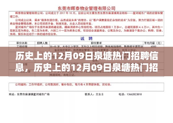 泉塘热门招聘信息历史回顾与深度解析，聚焦十二月九日的人才市场动向