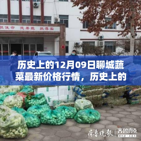 历史上的12月09日聊城蔬菜价格行情深度解析与竞品对比评测