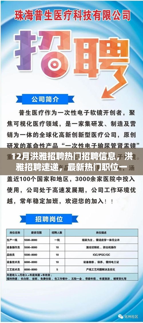 洪雅招聘速递，最新热门职位一网打尽，把握就业黄金机会！