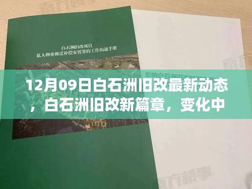 白石洲旧改最新动态，变化中的学习，自信与成就感的源泉