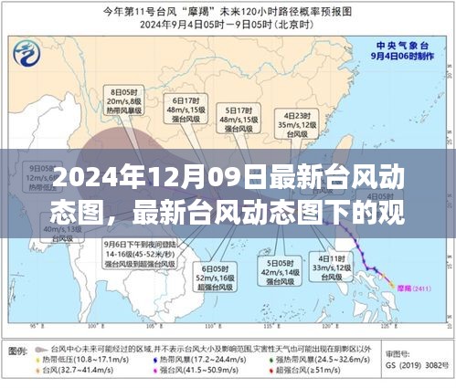 聚焦台风动态，最新观察与影响分析（2024年台风动态图下的观察与思考）