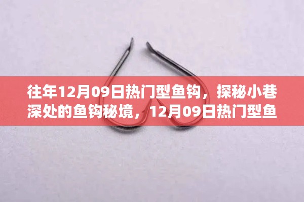 探秘12月09日热门型鱼钩，小巷深处的秘境与背后的故事