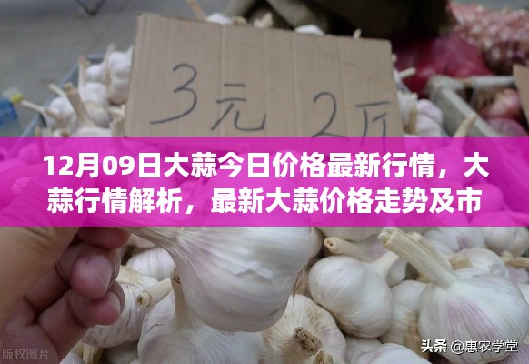 大蒜市场最新行情解析，价格走势、市场动态一网打尽（12月09日）