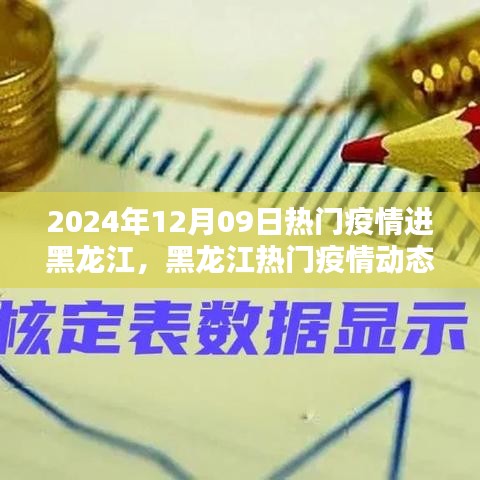 2024年12月09日黑龙江疫情动态及关注焦点