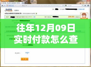 揭秘最新科技重塑支付体验，如何轻松查询十二月九日实时付款余额，未来触手可及！