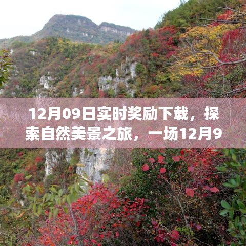 12月9日实时奖励下载之旅，探索自然美景，寻找内心平静