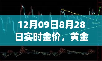 揭秘黄金市场风向标，今日金价波动背后的秘密解析