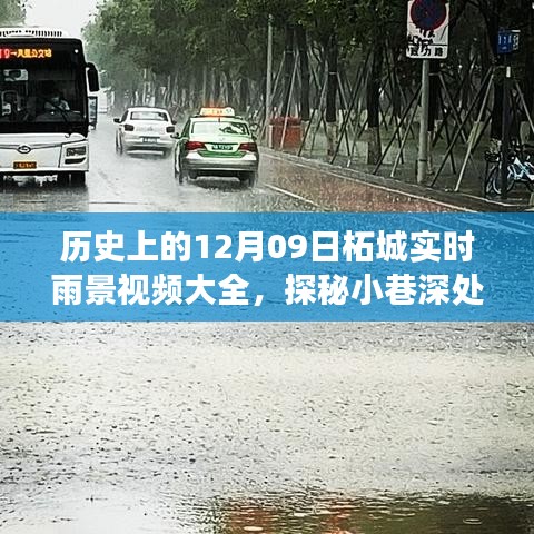 柘城雨景探秘，隐秘美食胜地与实时雨景视频集锦（12月9日）