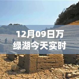 揭秘万绿湖实时水位变化，最新水位图表解析（12月09日）