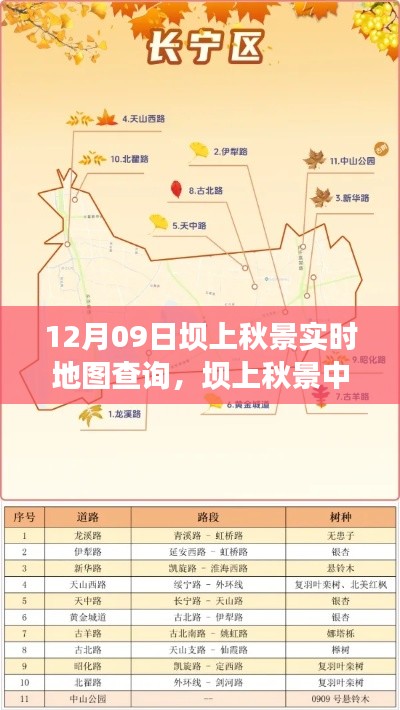 坝上秋景实时地图查询之旅，自信与成长的励志之旅