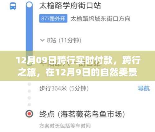 12月9日跨行实时付款之旅，自然美景中的心灵宁静与喜悦探寻