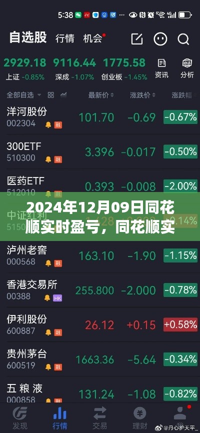 同花顺实时盈亏见证股市风云，2024年12月09日的数字见证