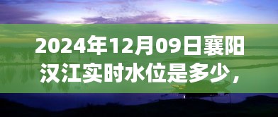 襄阳汉江水位变迁录，岁月之潮涌于2024年12月09日的实时水位观察