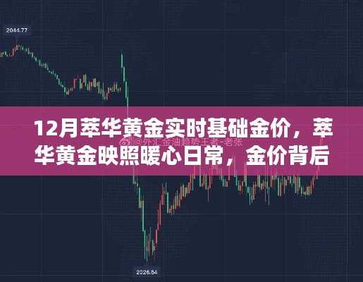 萃华黄金，金价背后的暖心日常与友情故事，12月实时基础金价解析