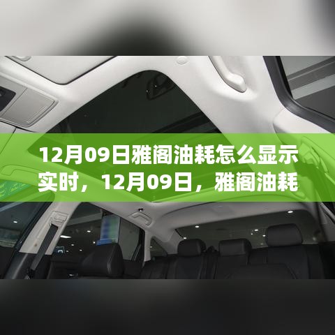 雅阁油耗实时显示指南，油耗与心灵之旅的双重体验