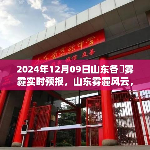 山东各市雾霾实时预报与深度解读，2024年12月09日雾霾风云解析